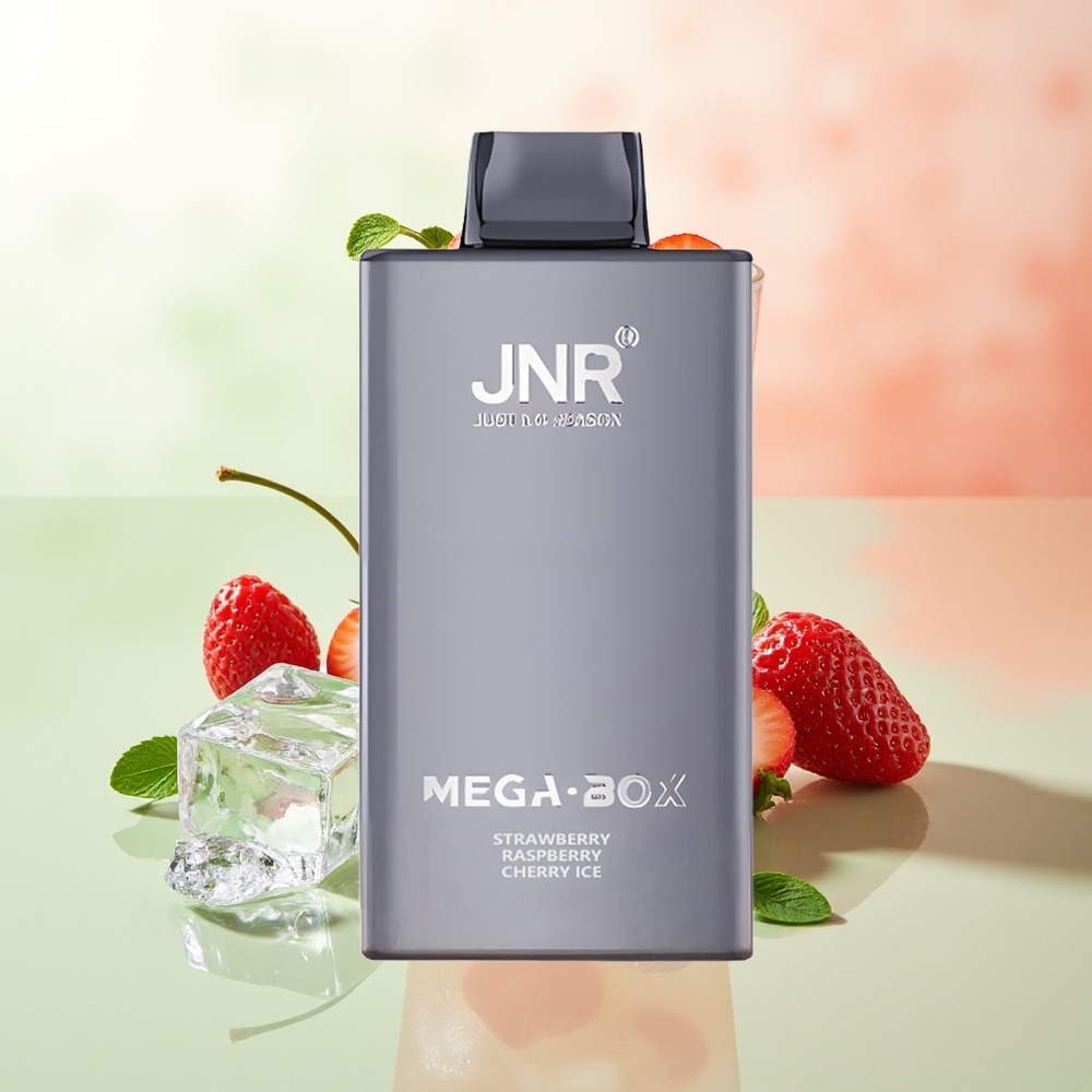 JNR Mega Box 25000 Züge Erdbeere Himbeere Kirsche Eis Typ-C Schnellladung Dual Mesh Coil