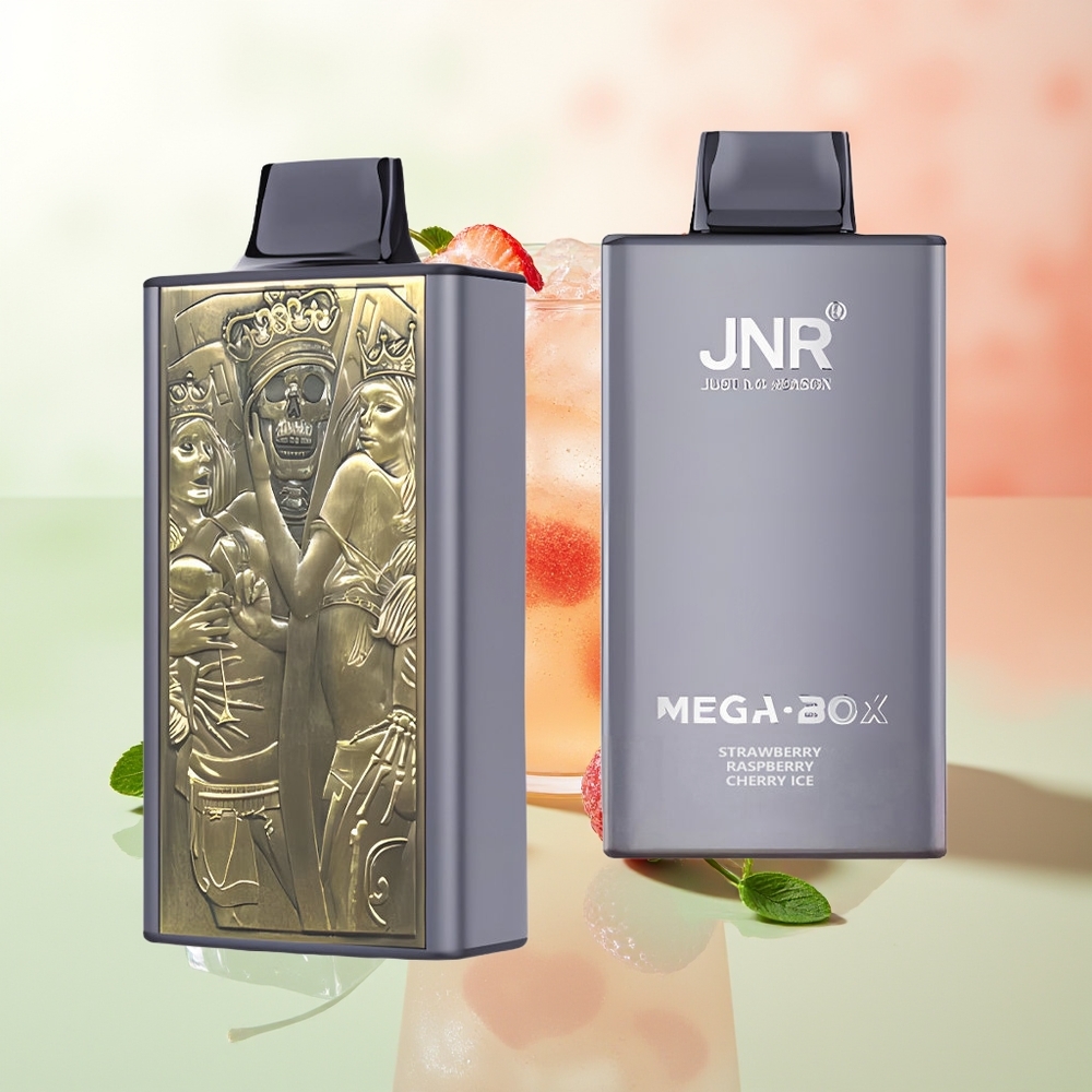 JNR Mega Box 25000 Züge Erdbeere Himbeere Kirsche Eis Typ-C Schnellladung Dual Mesh Coil