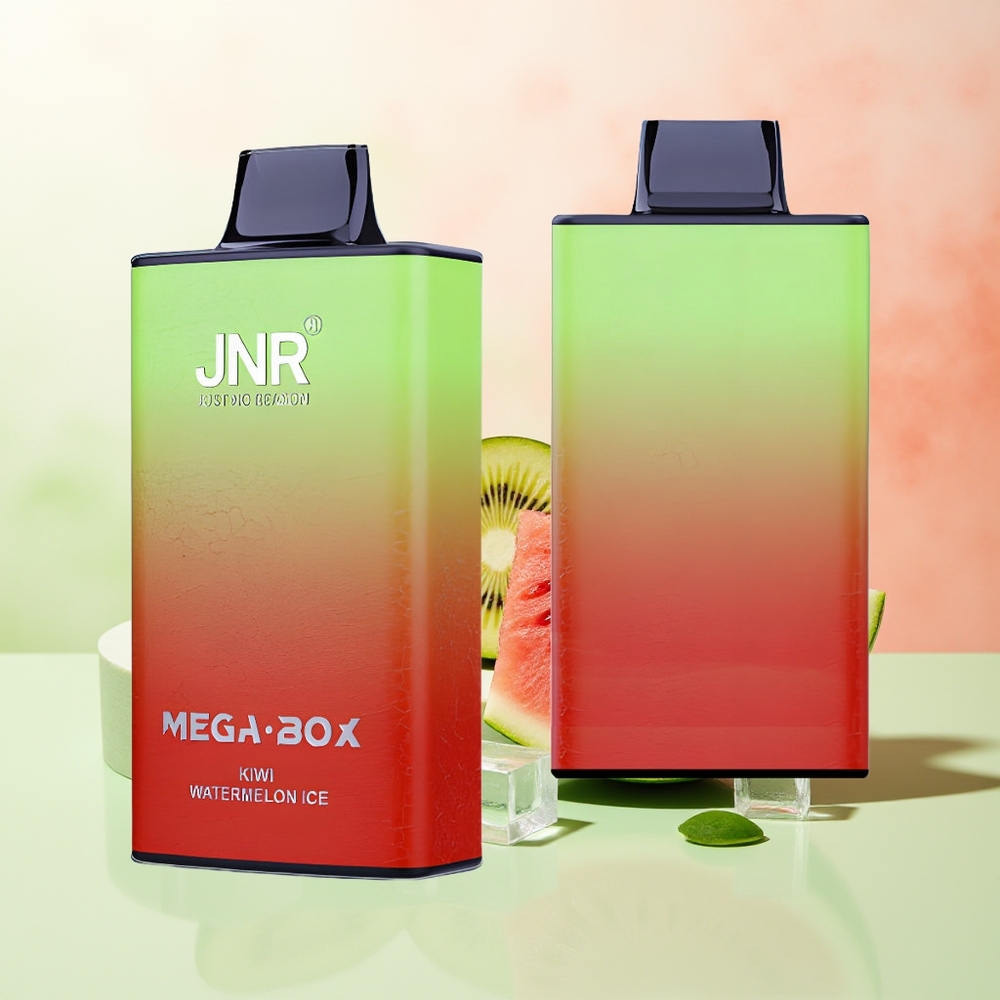 JNR Mega Box 25000 Züge Kiwi Wassermelone Eis Dual Mesh Coil Typ-C Schnellladung