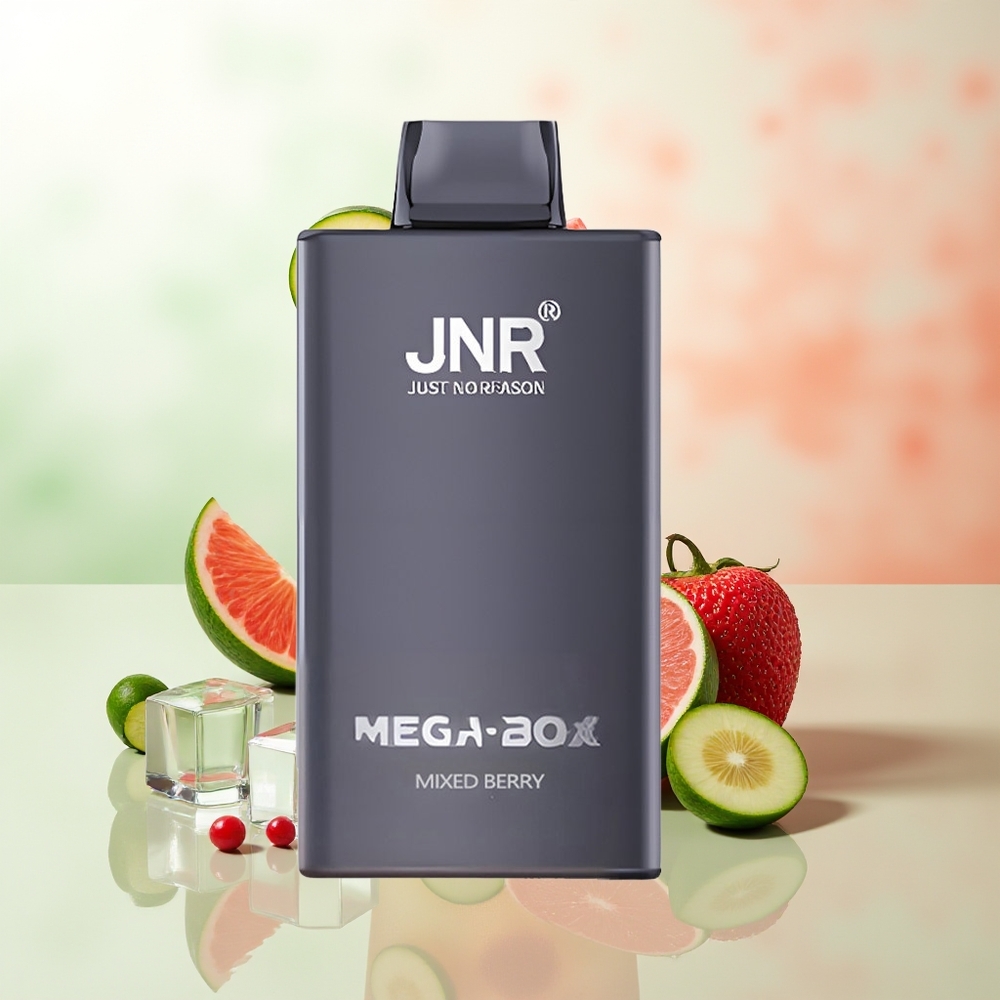 JNR Mega Box 25000 Züge Mischbeere Dual Mesh Coil Typ-C Schnellladung