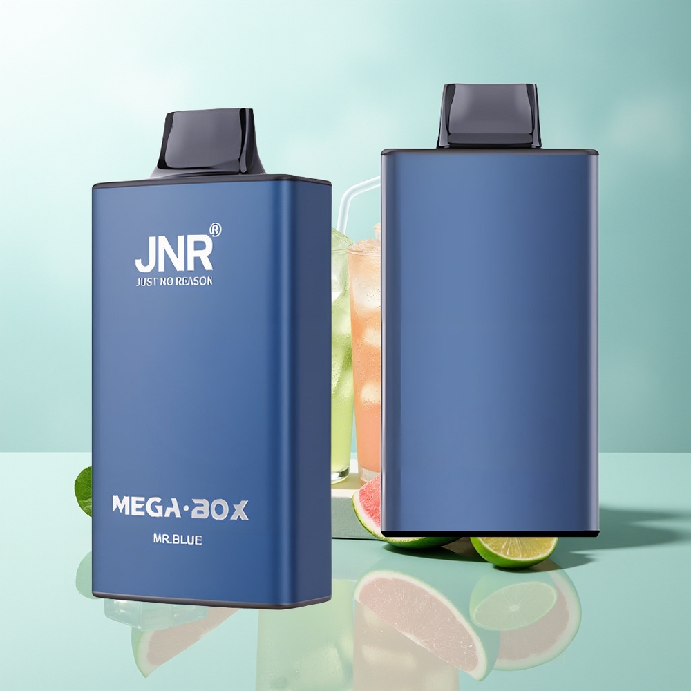 JNR Mega Box 25000 Züge Typ-C Schnellladung Dual Mesh Herr Blau
