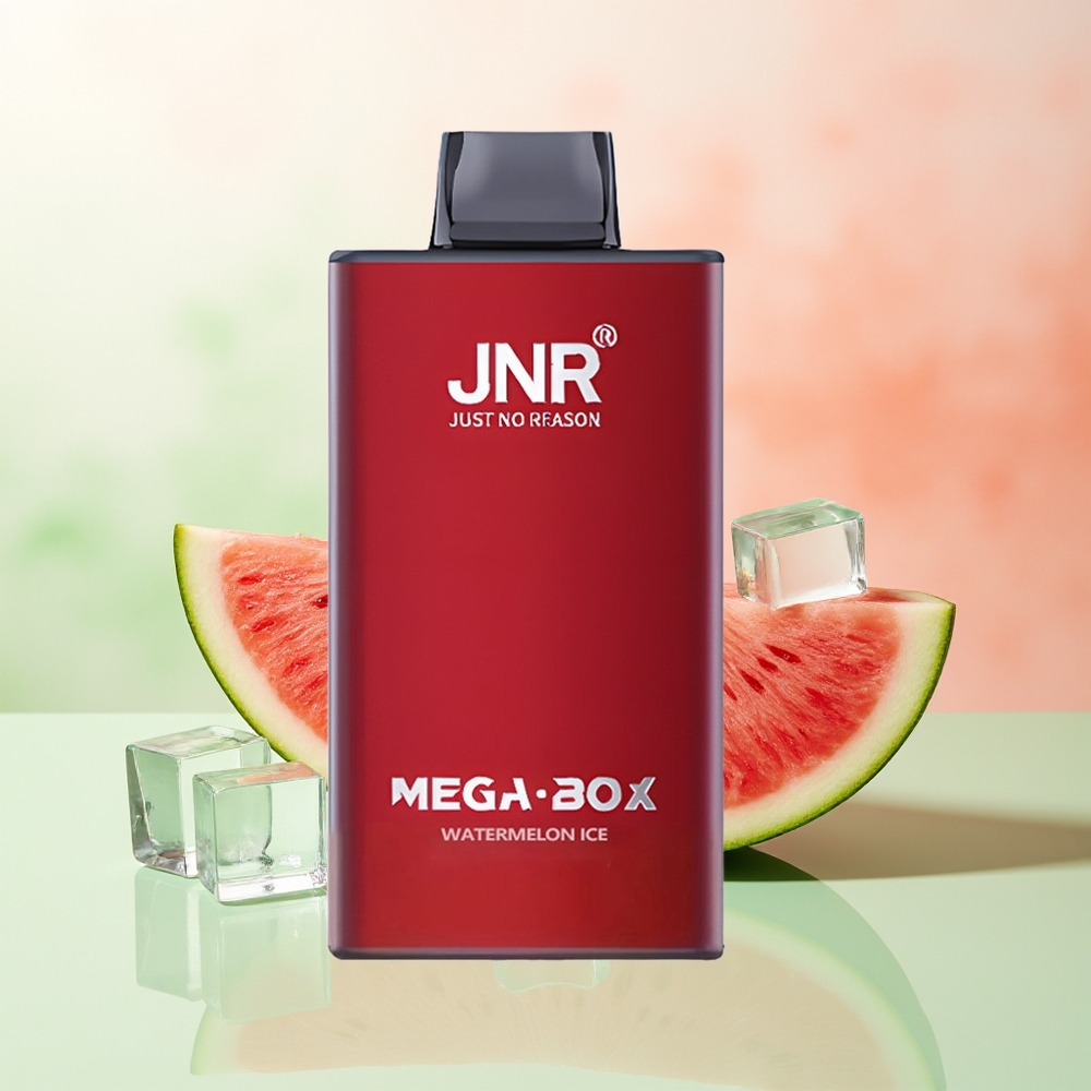 JNR Mega Box 25000 Züge Wassermelone Eis Typ-C Schnellladung Dual Mesh Coil