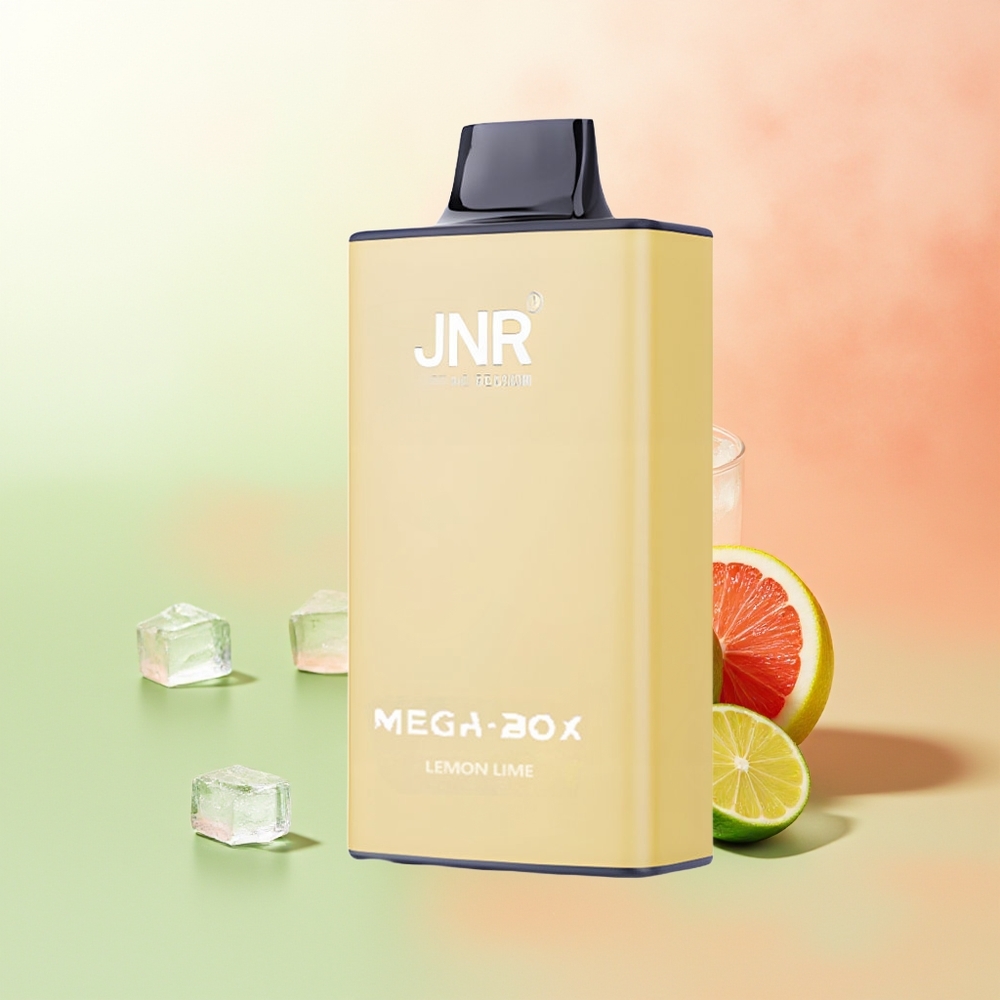 JNR Mega Box 25000 Züge Zitrone & Limette Dual Mesh Coil Typ-C Schnellladung