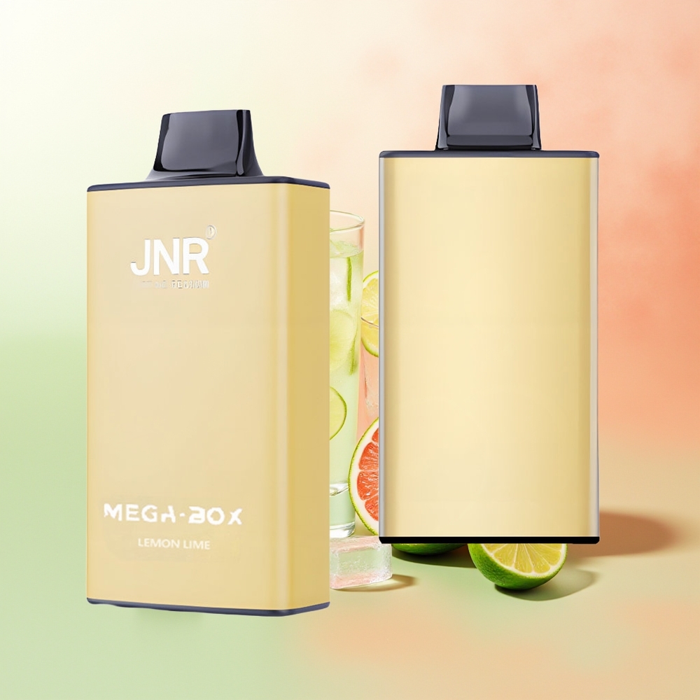 JNR Mega Box 25000 Züge Zitrone & Limette Dual Mesh Coil Typ-C Schnellladung