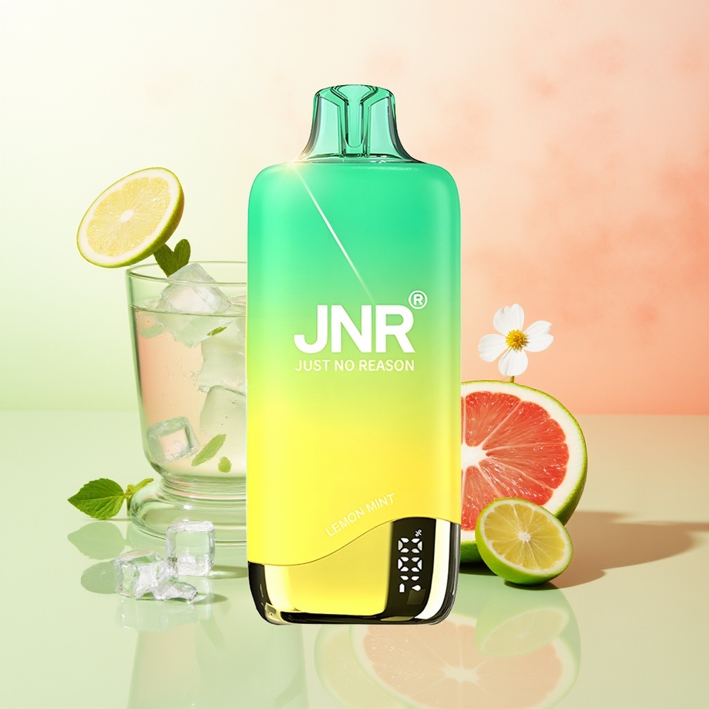 JNR Rainbow 10500 Züge Zitrone Minze 0,8 Ohm Mesh 18ml 600mAh USB-C