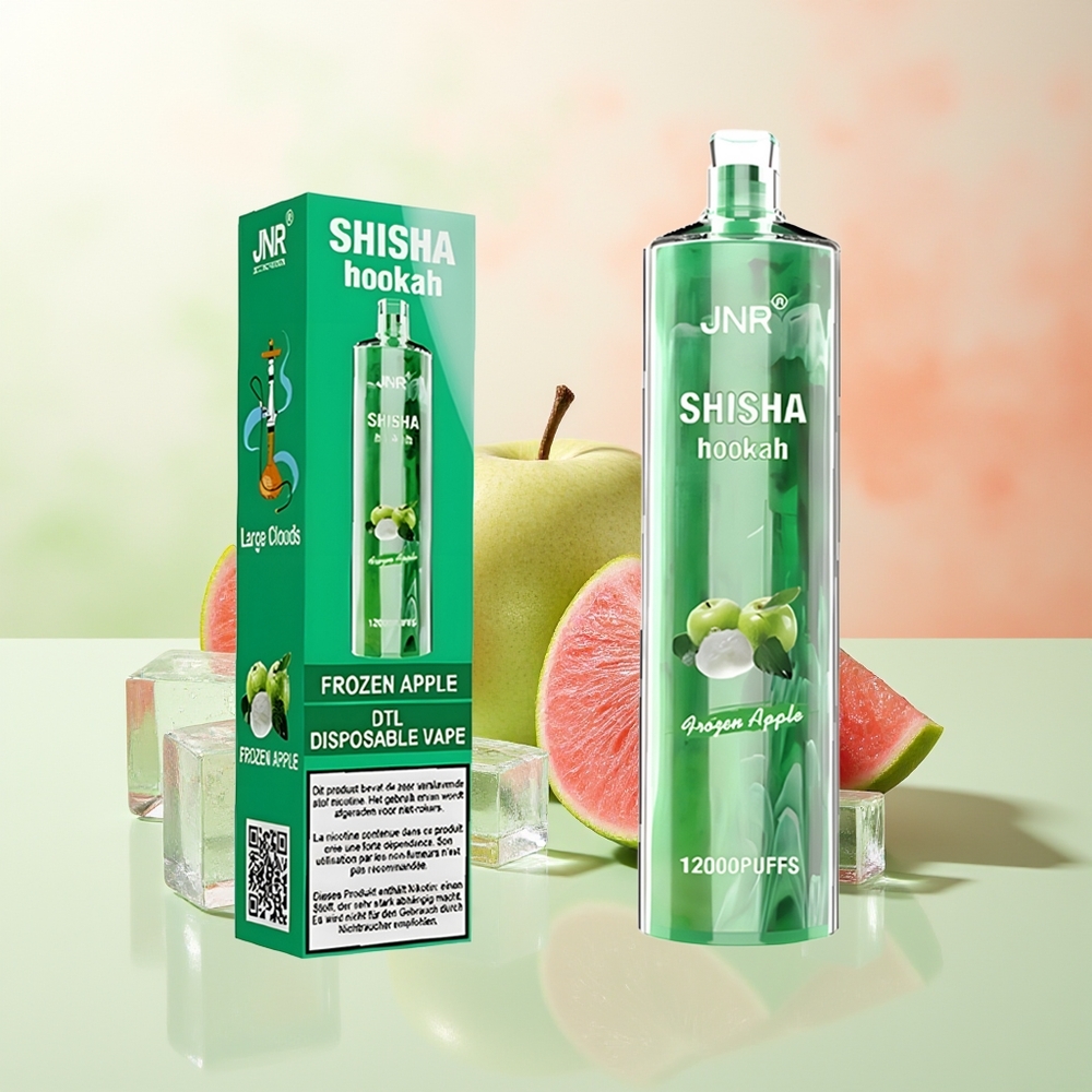 JNR Shisha Hookah 12000 Züge Gefrorener Apfel Typ-C Schnellladung 24ml 750mAh 0,6 Ohm Mesh Coil
