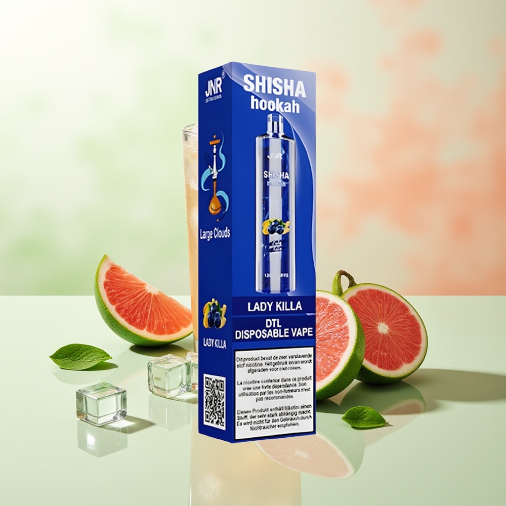 JNR Shisha Hookah 12000 Züge Lady Killa 0% 2% Nikotin 24ml Flüssigkeit 750mAh Akku Typ-C