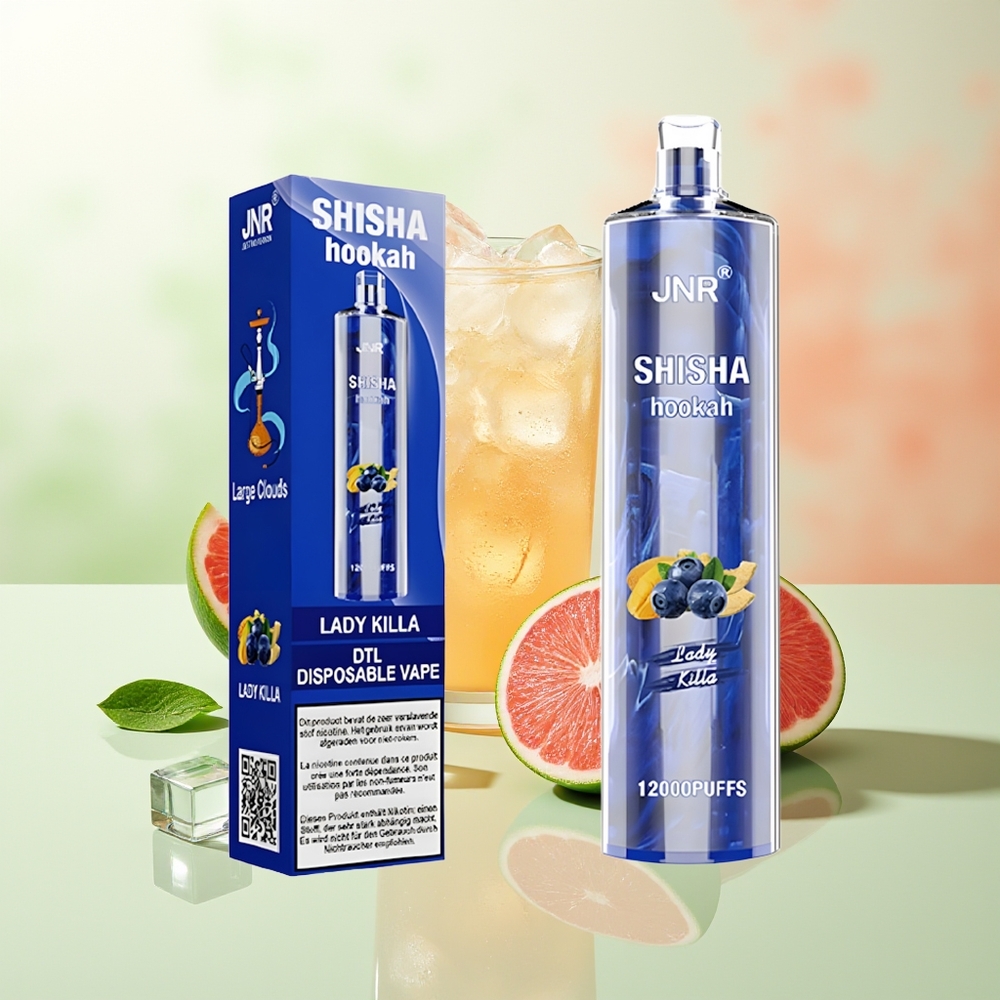 JNR Shisha Hookah 12000 Züge Lady Killa 0% 2% Nikotin 24ml Flüssigkeit 750mAh Akku Typ-C