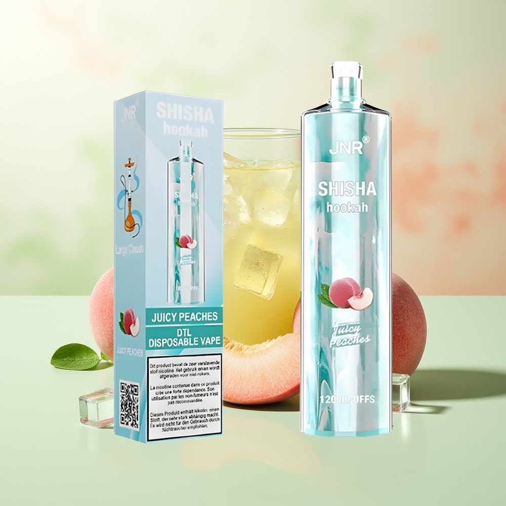 JNR Shisha Hookah 12000 Züge Saftige Pfirsiche 750mAh Typ-C Schnellladung