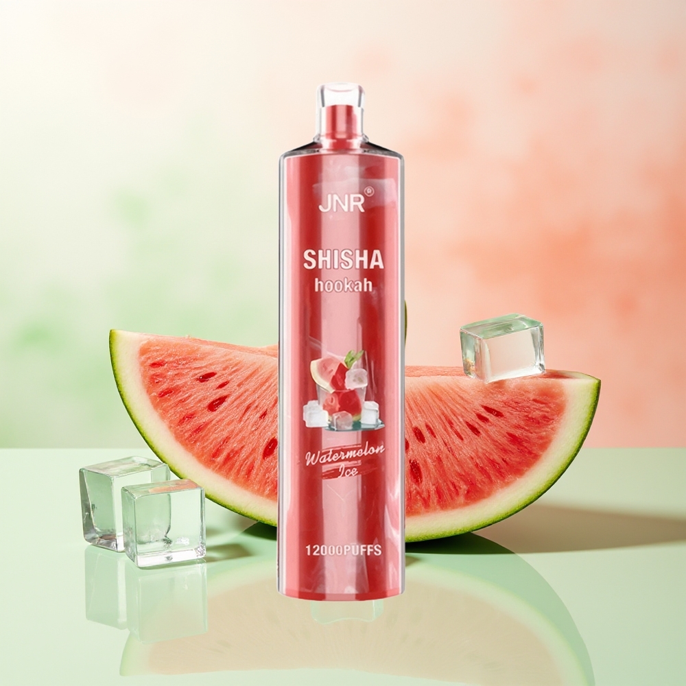 JNR Shisha Hookah 12000 Züge Wassermelone-Eis Typ-C Schnellladung 750mAh