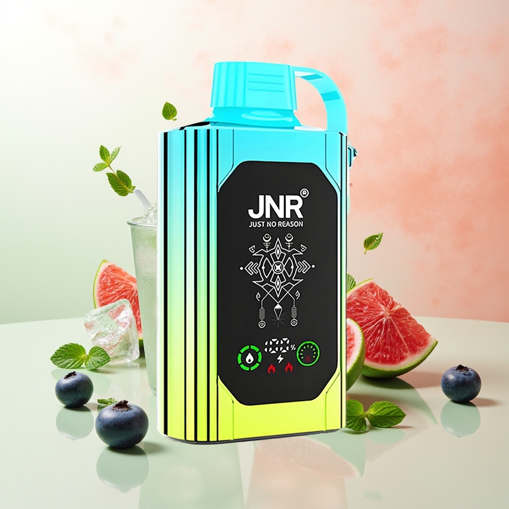 JNR Shisha Hookah Box 20500 Züge Blaubeer Minze HD Display 1000mAh 25ml Dual Mesh Coil & Dual Core Type-C Quick Charge 0% 2% 5%