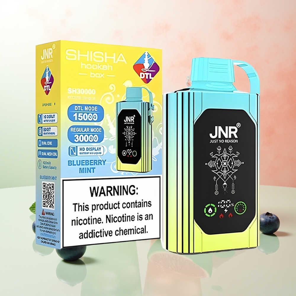 JNR Shisha Hookah Box 20500 Züge Blaubeer Minze HD Display 1000mAh 25ml Dual Mesh Coil & Dual Core Type-C Quick Charge 0% 2% 5%