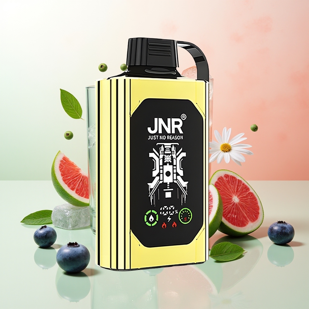 JNR Shisha Hookah Box 20500 Züge HD Display 1000mAh 25ml Dual Mesh Coil Type-C Blaubeere Eis