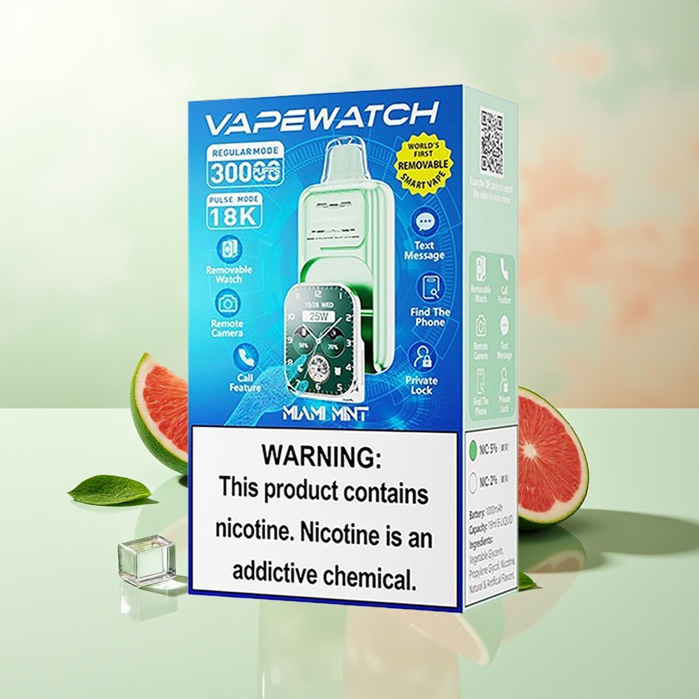 JNR VapeWatch 30000 Züge Miami Minze Dual Mesh Coil Typ-C Schnellladung 19mL 5% Nikotin 1000mAh