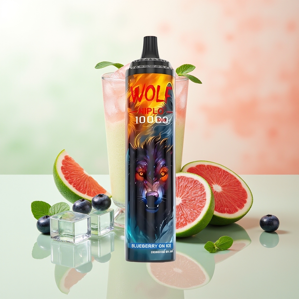 JNR Wolf Niplo 10000 Puffs Blaubeere Auf Eis Mesh 1.0 Ohm 650mAh 20ml Typ-C