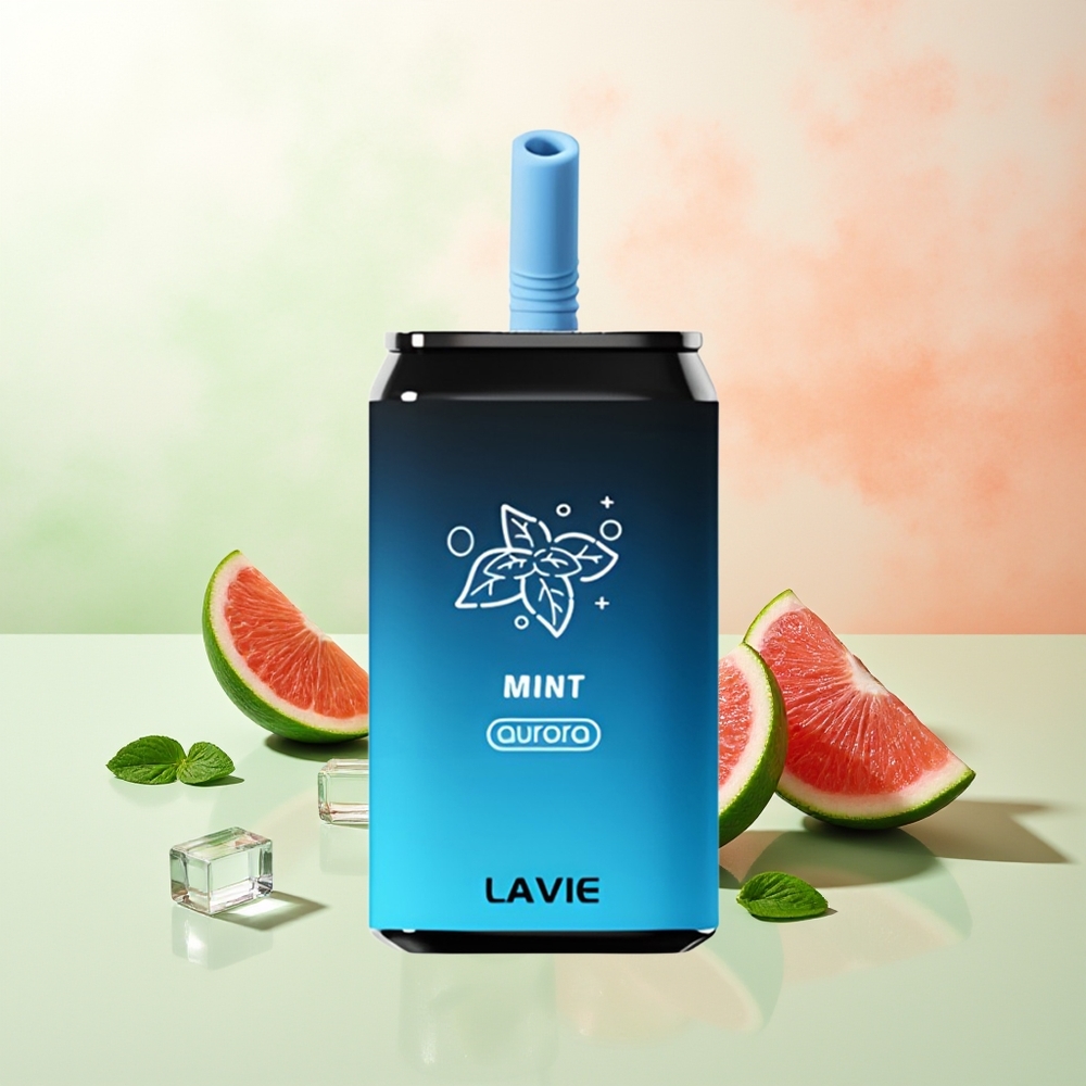LAVIE Aurora 11000 Züge Minze Typ C Wiederaufladbar 22ML 650mAh