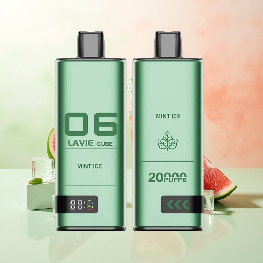LAVIE Cube 20000 Züge Minze Eis Einweg Vape 28ML 600mAh Typ C