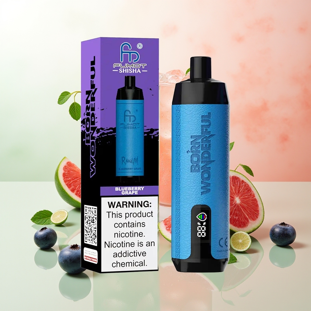RandM Fumot Shisha 10000 Züge Blaubeere Traube LED Typ-C 18ml 850mAh Mesh 0,6Ω 0,5% Nikotin