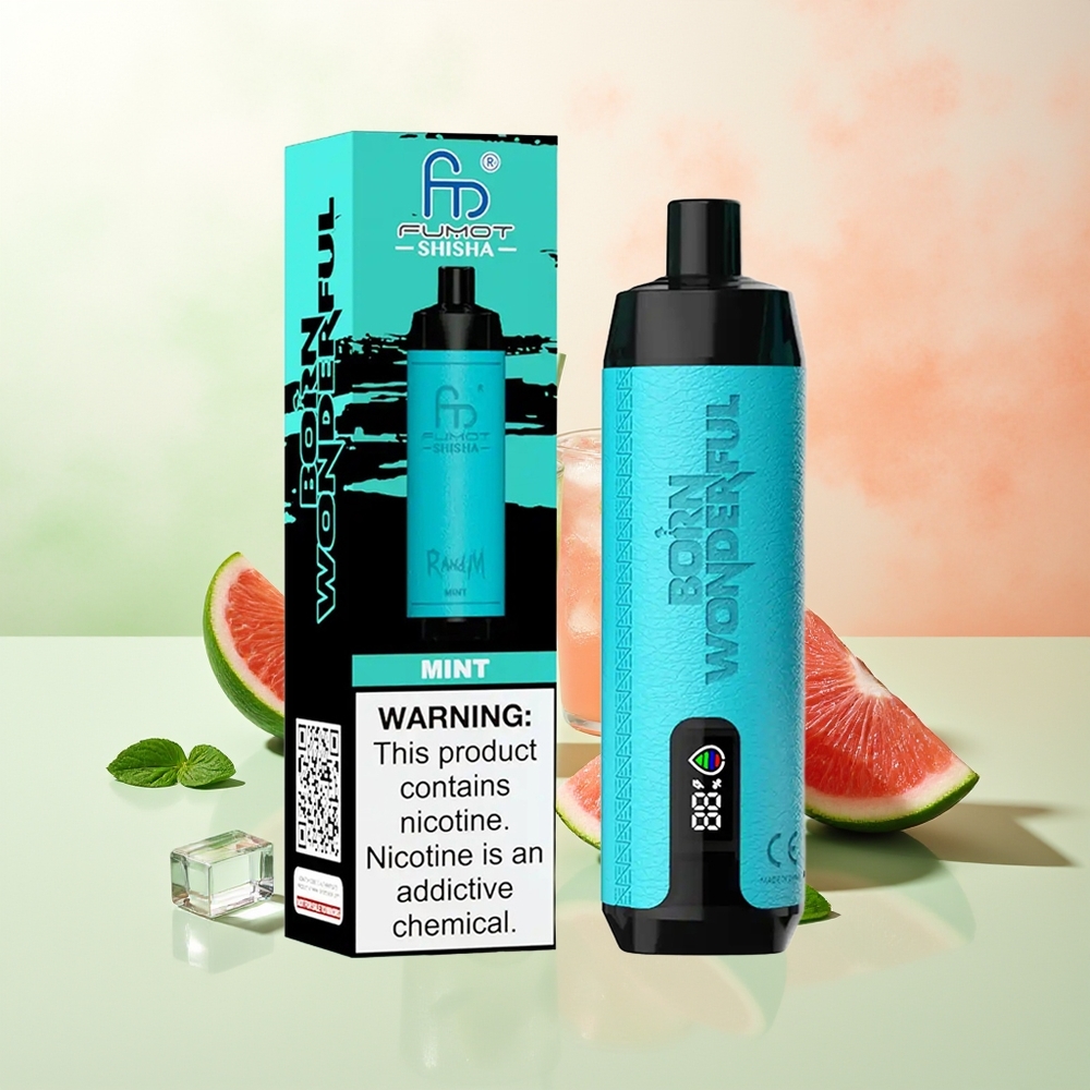 RandM Fumot Shisha 10000 Züge Minze Typ-C 18ml 850mAh 0,6ohm Mesh 0,5% Nikotin LED
