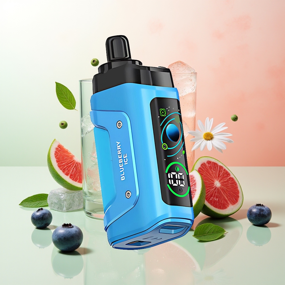 Razz Bar 45000 Züge Einweg-Vape Blaubeere Eis Typ-C Aufladbar 1.0 Ohm Mesh Coil
